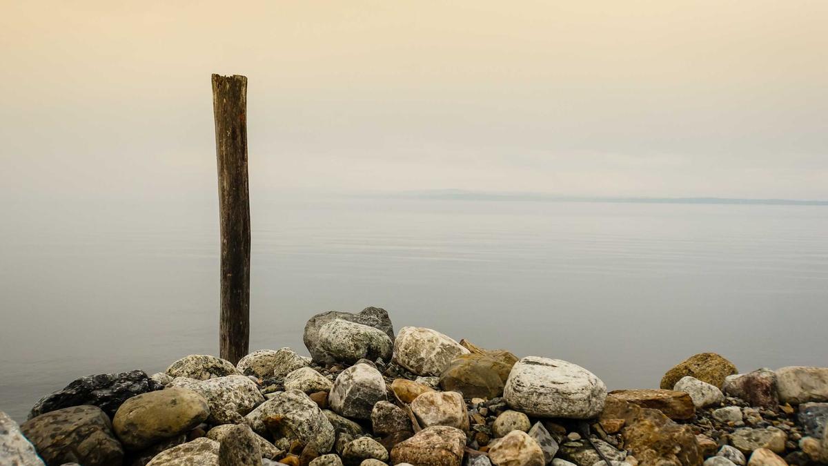 Symbolbild zum Thema Reform Altersvorsorge Riester