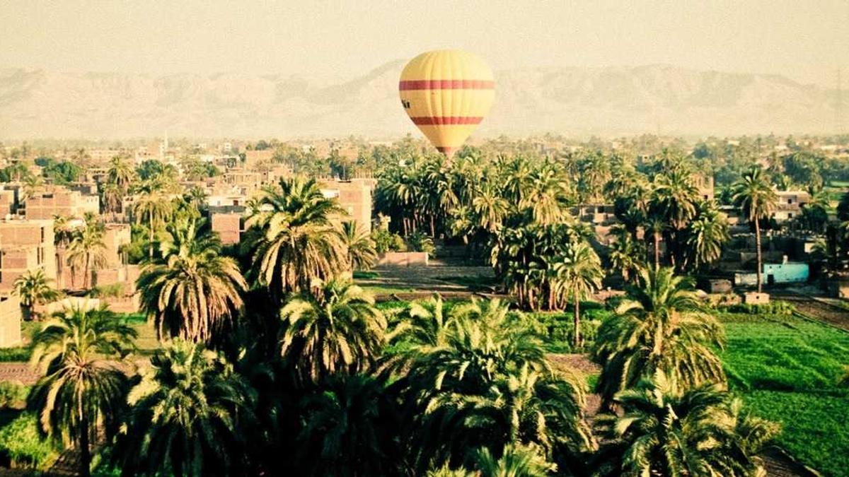 Detailansicht: Rente Steuern Reform