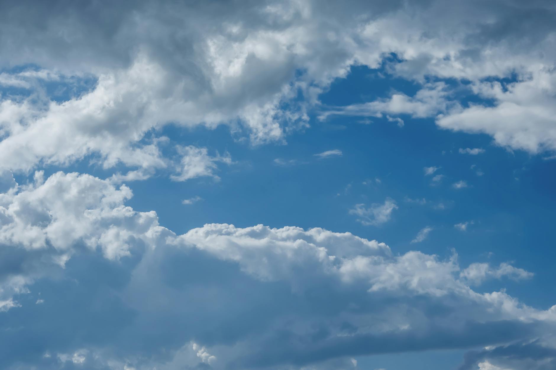 Illustration zu SC Freiburg