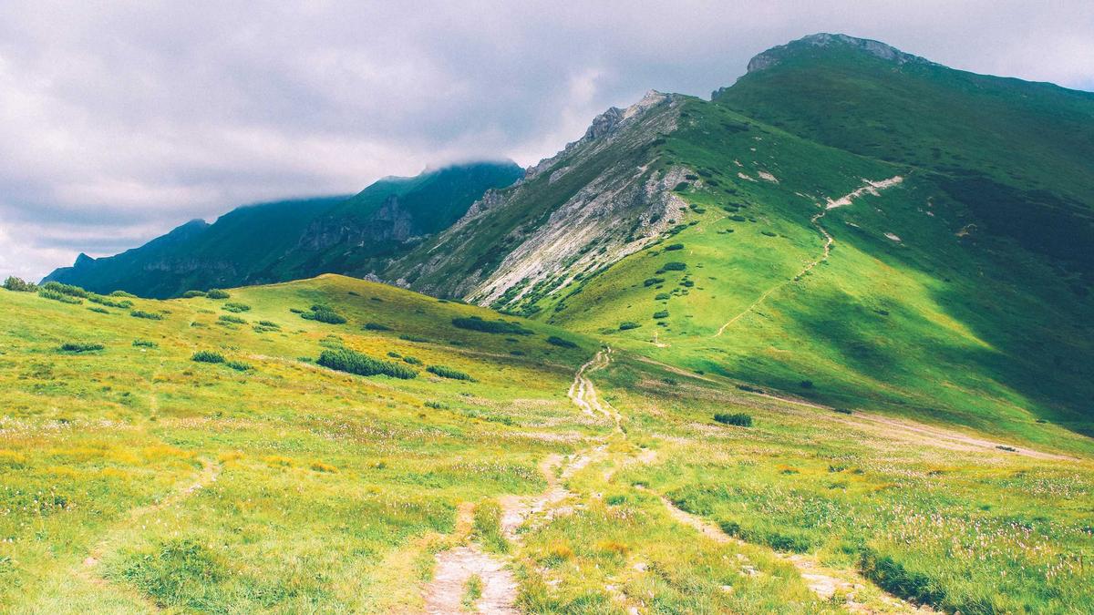 Symbolbild zum Thema SC Paderborn – Dynamo