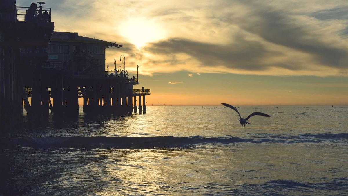 Detailansicht: SC Paderborn – Dynamo