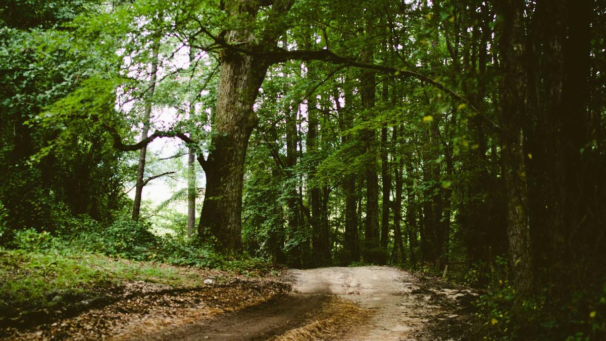 Schule Der Zukunft Symbolbild zum Thema Schule Der Zukunft