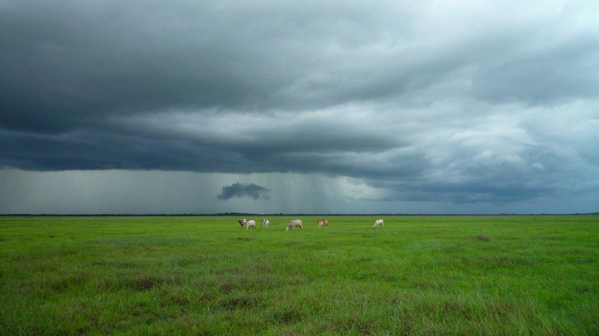 Detailansicht: Schweiz Immigrationsproblem USA