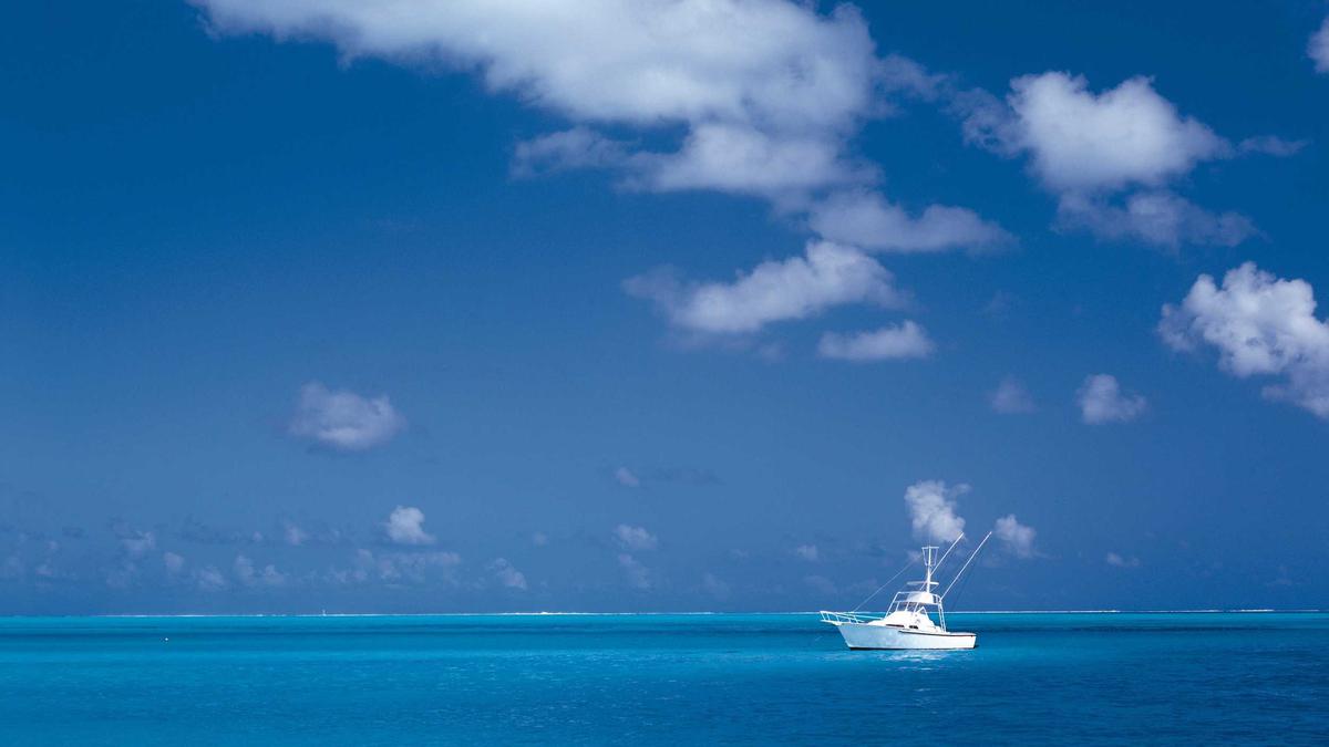 Illustration zu Shark Bay Roter Himmel