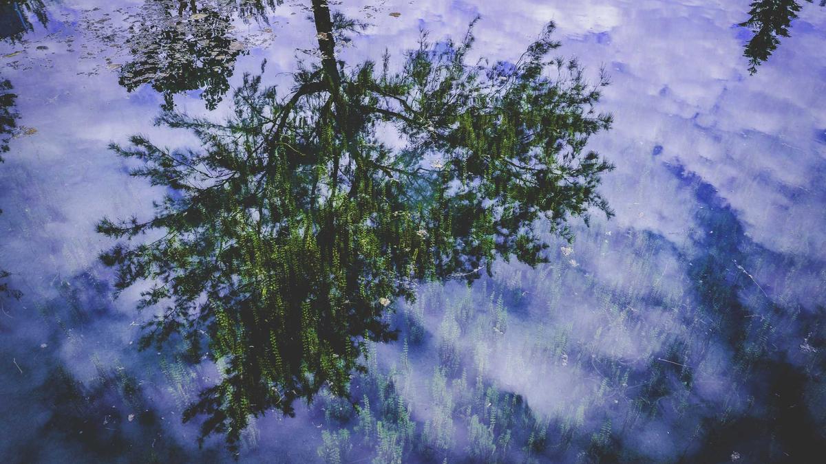 Symbolbild zum Thema Sicherheitspolitik Schweiz