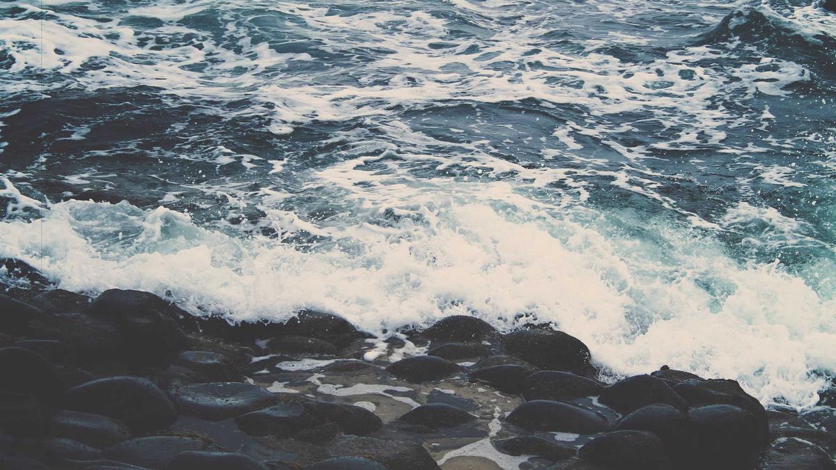 Illustration zu Siri Hustvedt