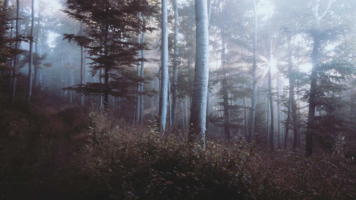 Symbolbild zum Thema Solarpark China