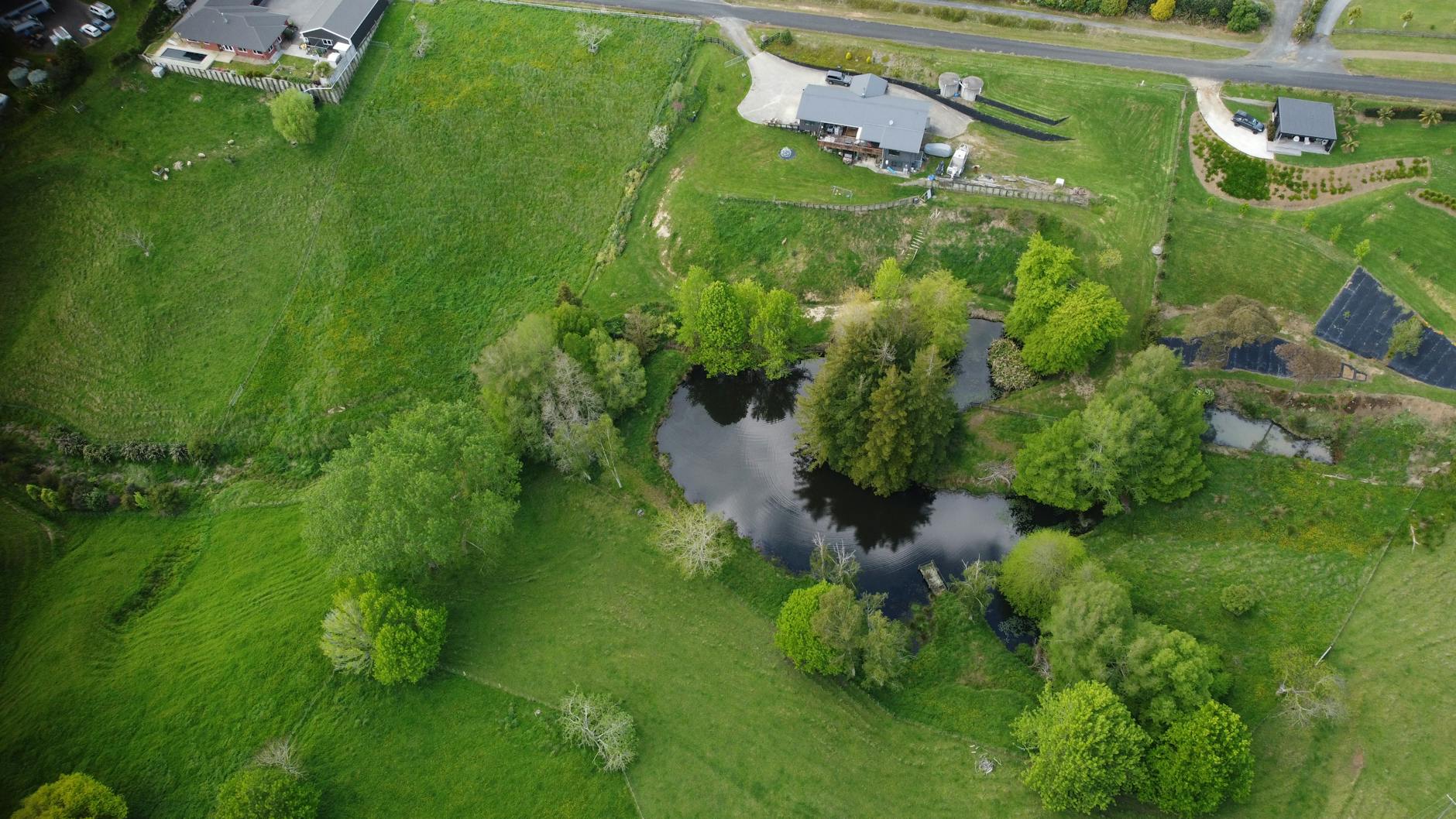 Detailansicht: South Africa VS New Zealand