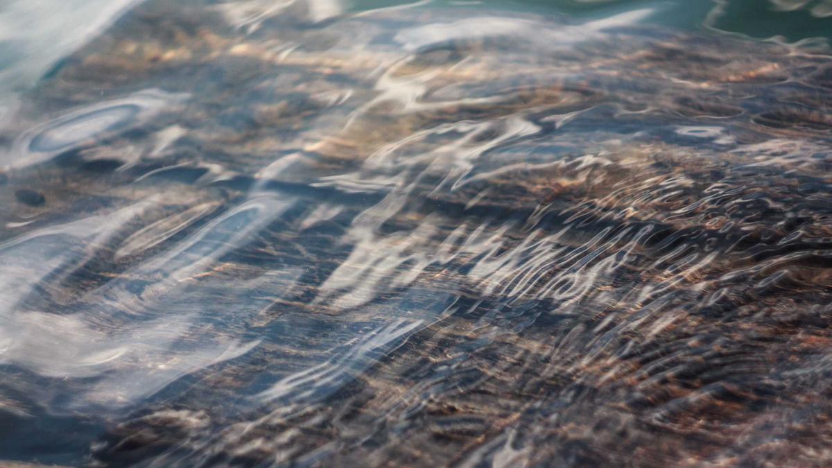 Detailansicht: Spritzenangst überwinden