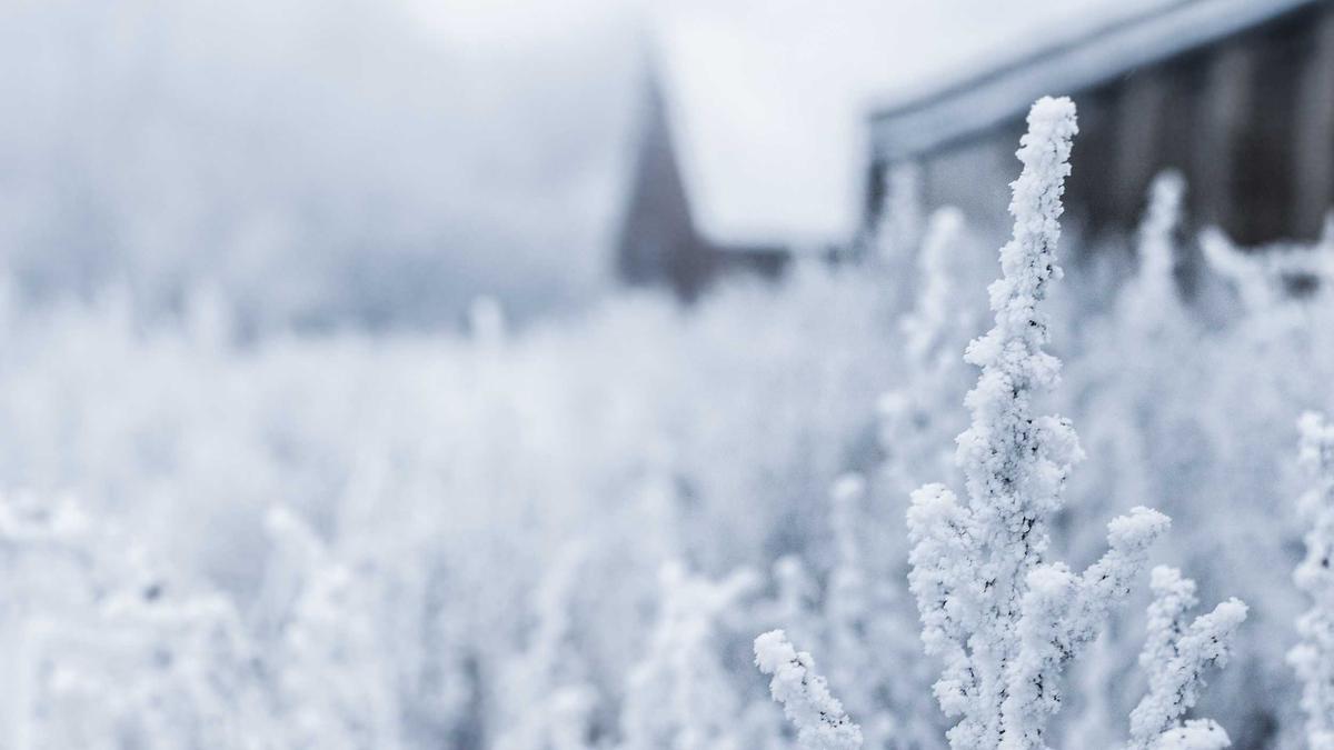 Detailansicht: ST. Pauli – Freiburg