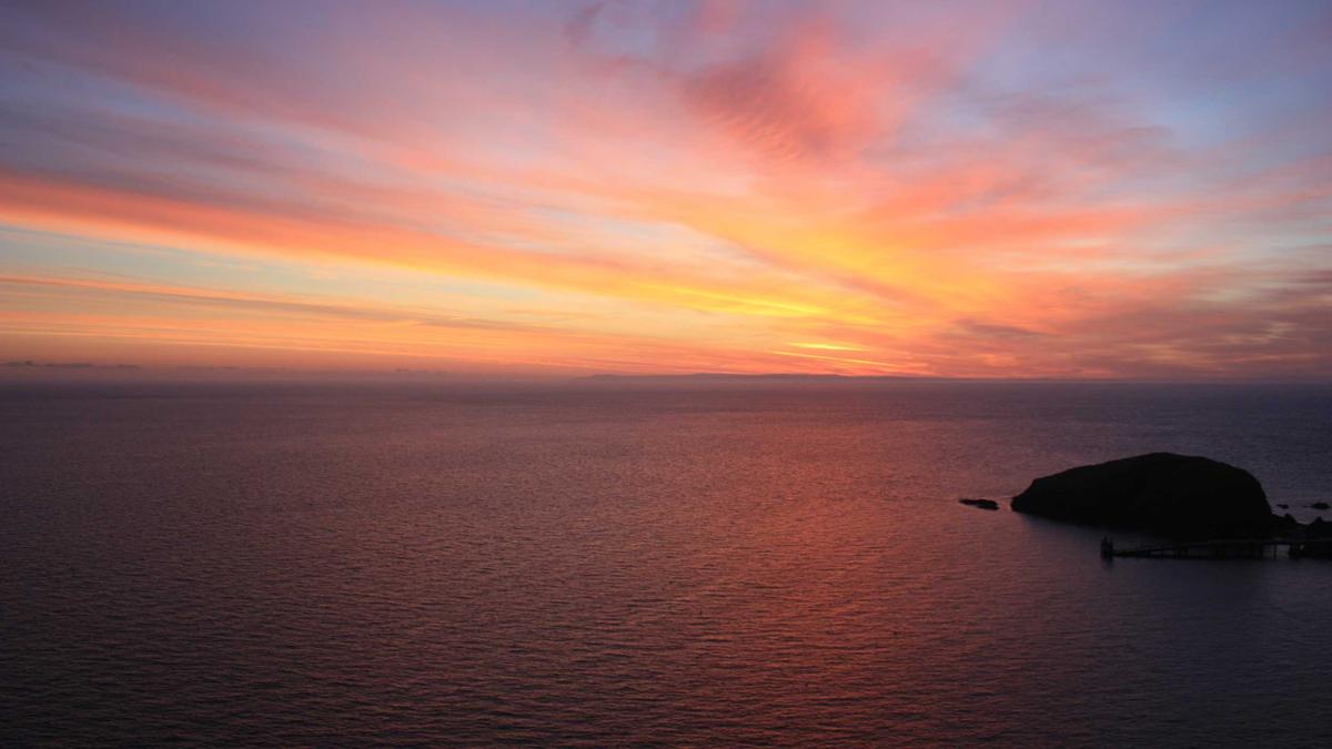 Tanzender Roboter Restaurant Detailansicht: Tanzender Roboter Restaurant