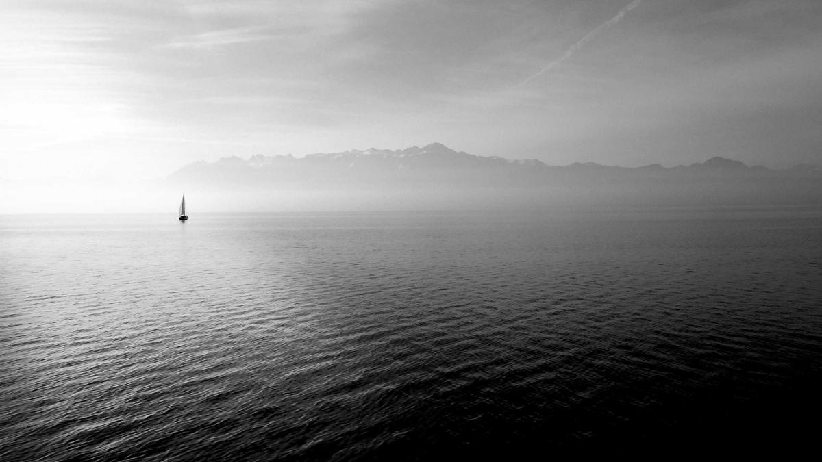 Symbolbild zum Thema Tierquälerei Affen