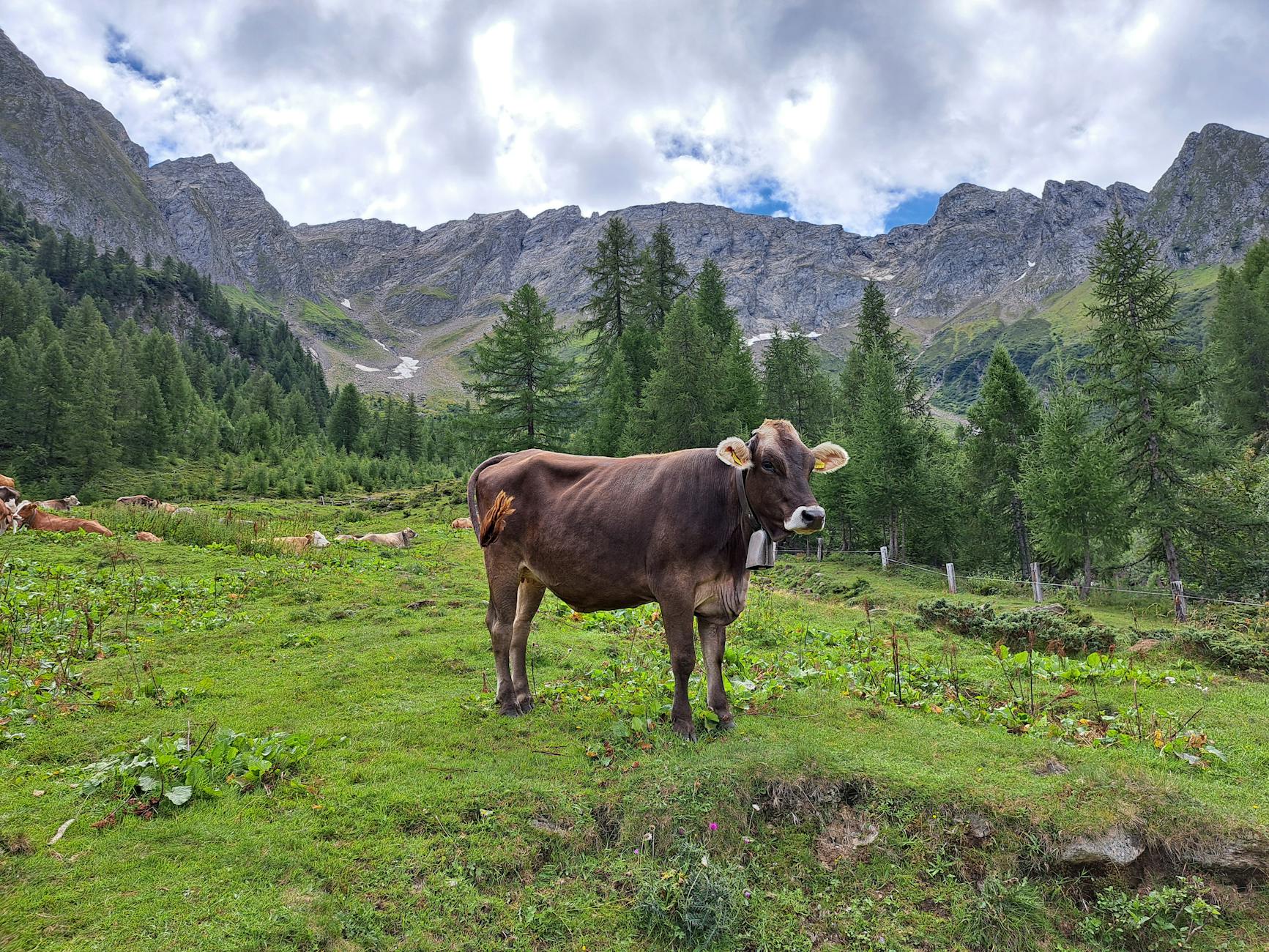 Detailansicht: Tote Frau Käfertaler Wald