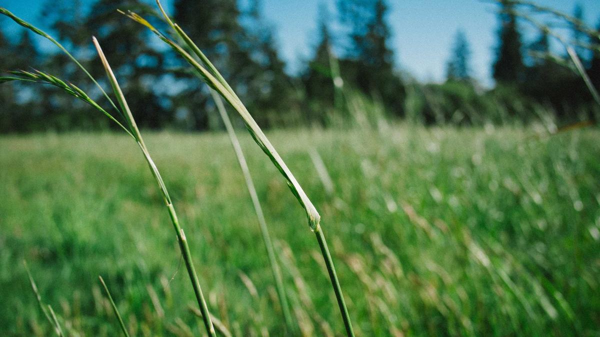 TV Programm Heute Abend Symbolbild zum Thema TV Programm Heute Abend