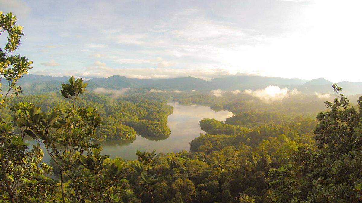 Symbolbild zum Thema Verkehrszeichen Haifischzähne