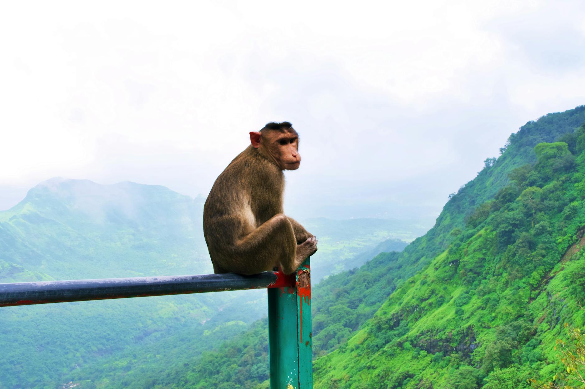 Verl – Schweinfurt 05 Illustration zu Verl – Schweinfurt 05