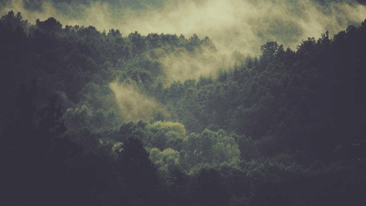 Illustration zu Wal Rettung Timmendorfer Strand