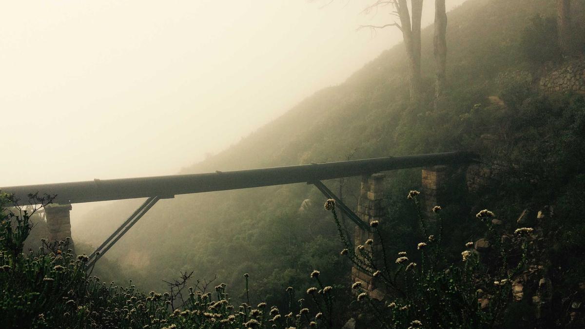 Detailansicht: Wal Timmendorf