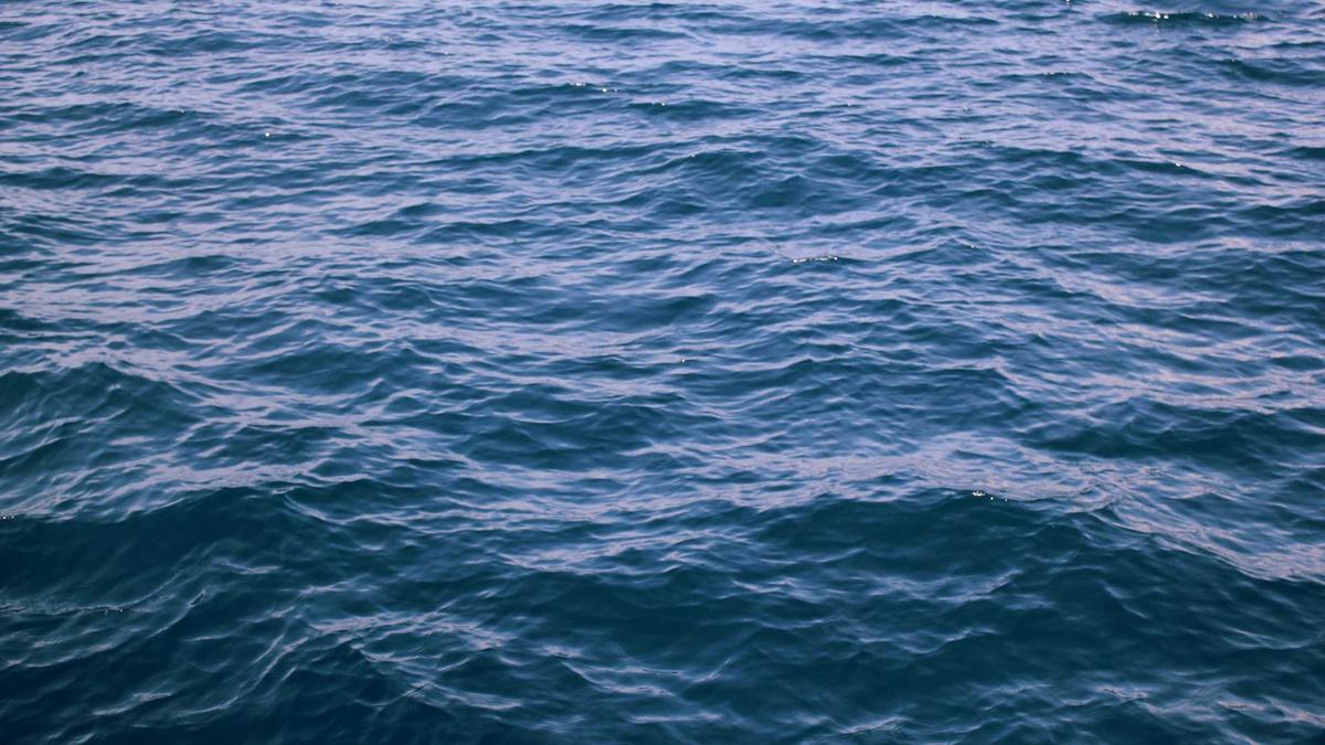 Wal Timmendorfer Strand Illustration zu Wal Timmendorfer Strand