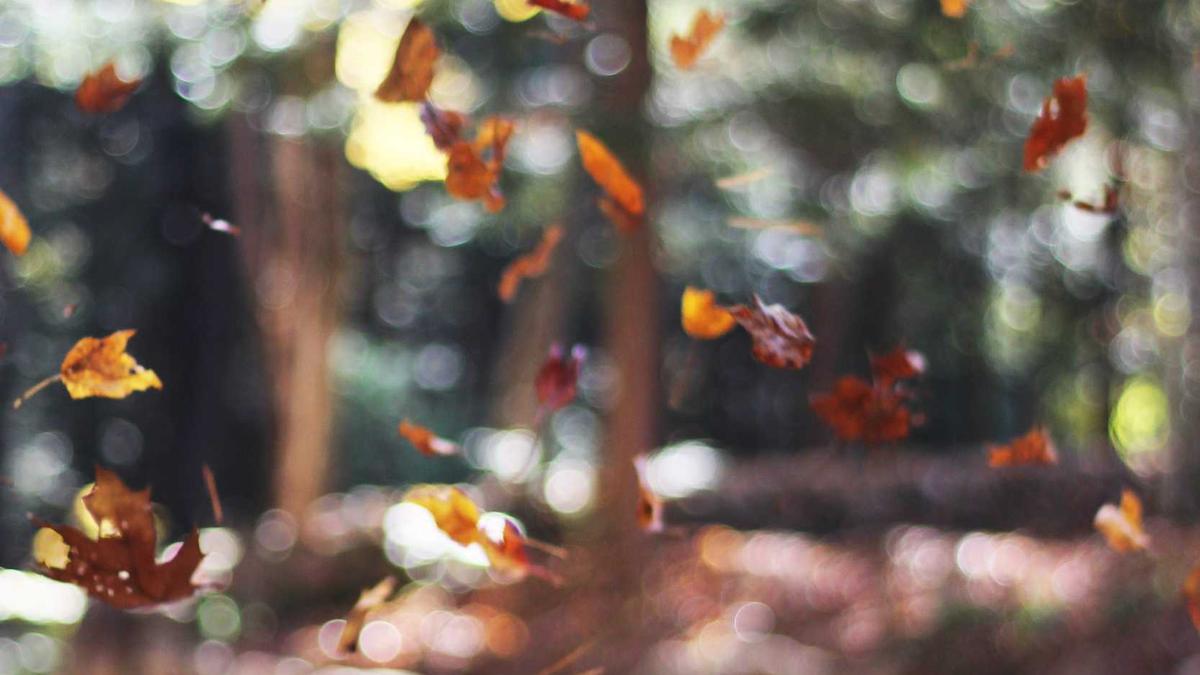 Wann Ist Die Zeitumstellung Symbolbild zum Thema Wann Ist Die Zeitumstellung