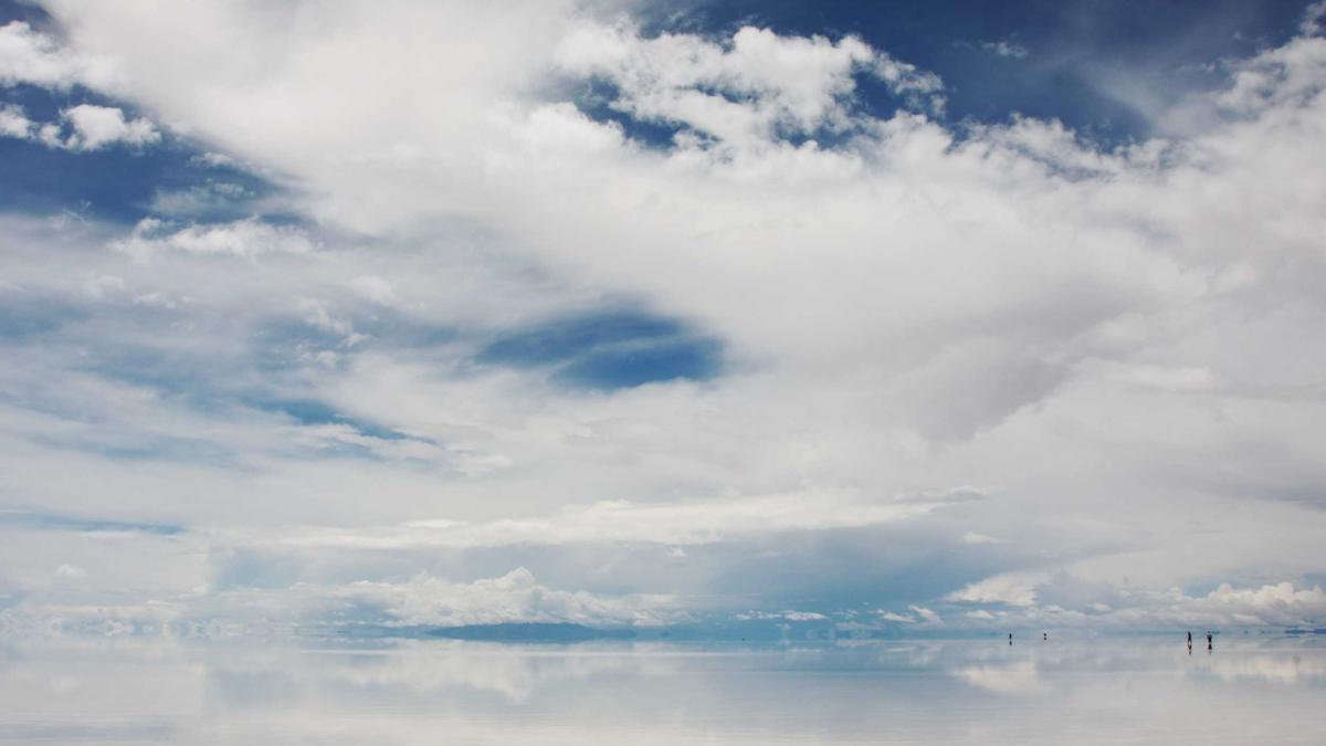 Detailansicht: Wechselkennzeichen Bedeutung