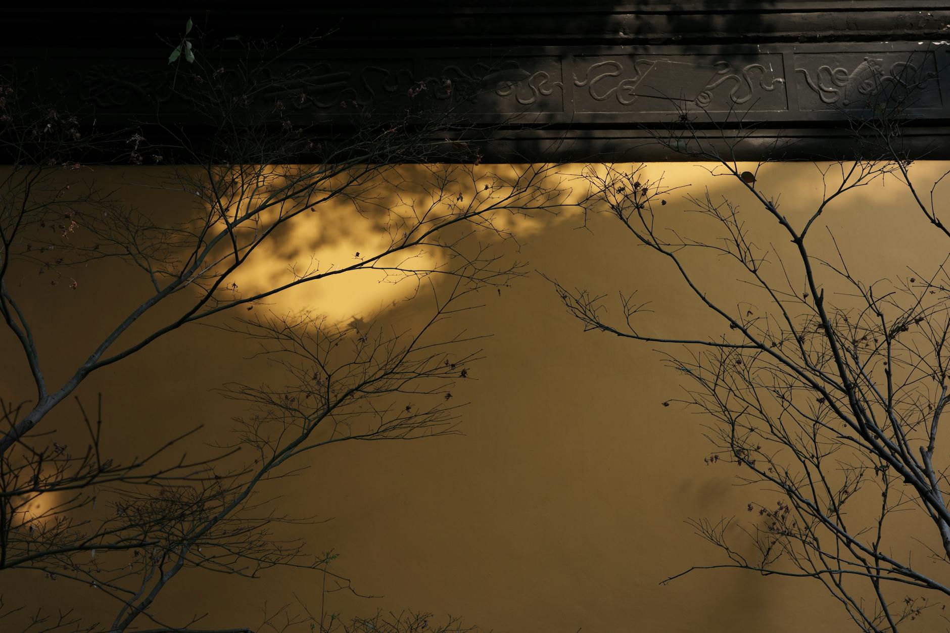 Illustration zu Werder Bremen – Mainz