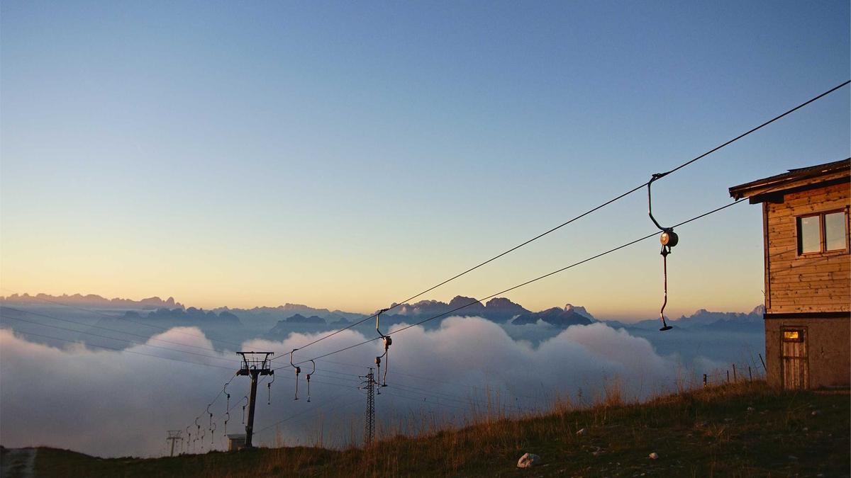 Illustration zu Wildtiere In Städten
