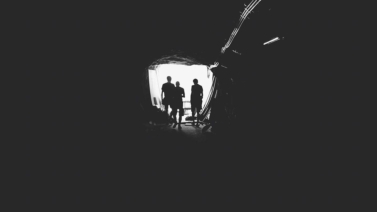 Symbolbild zum Thema Wismar Wal