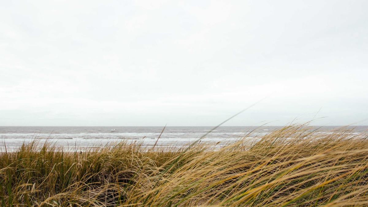 Detailansicht: WM Qualifikation 2026