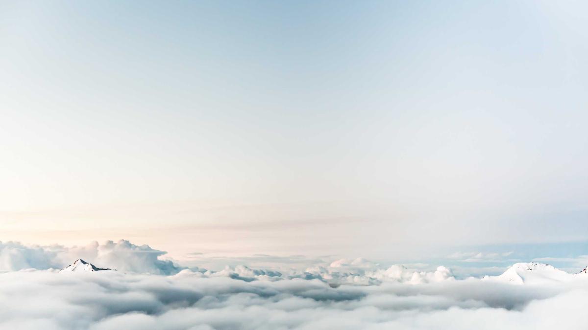 Illustration zu Wolfgang Niedecken