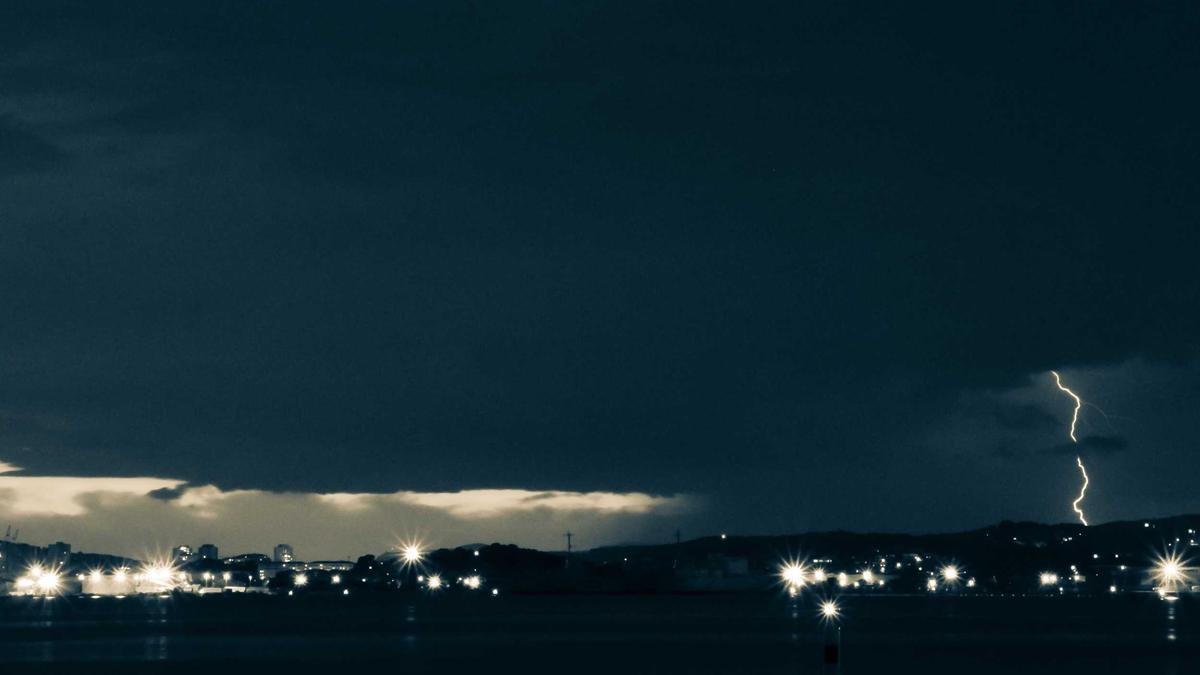 Detailansicht: Wollnys Loredana