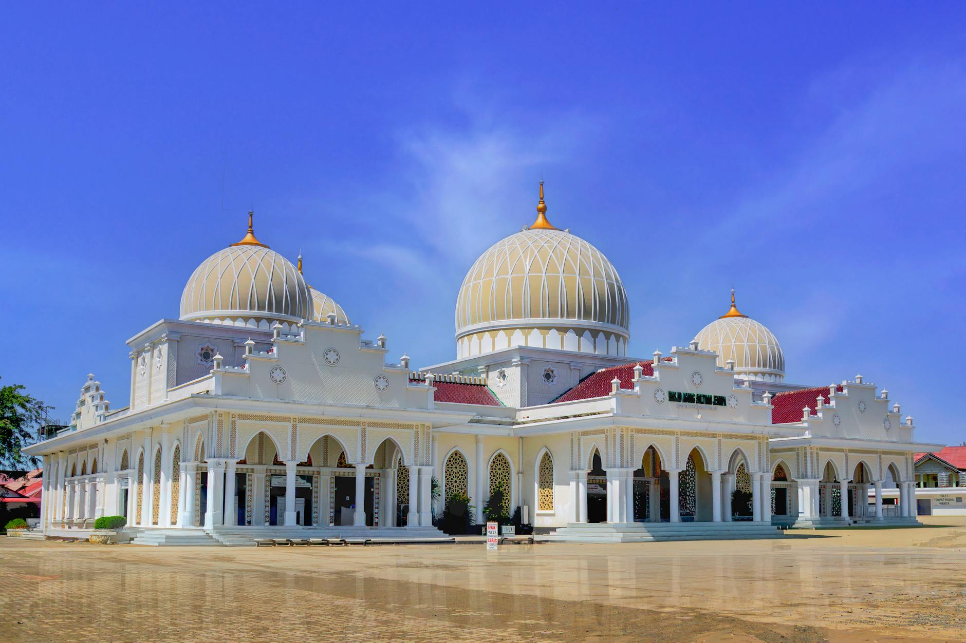 Detailansicht: Aceh Stockhiebe