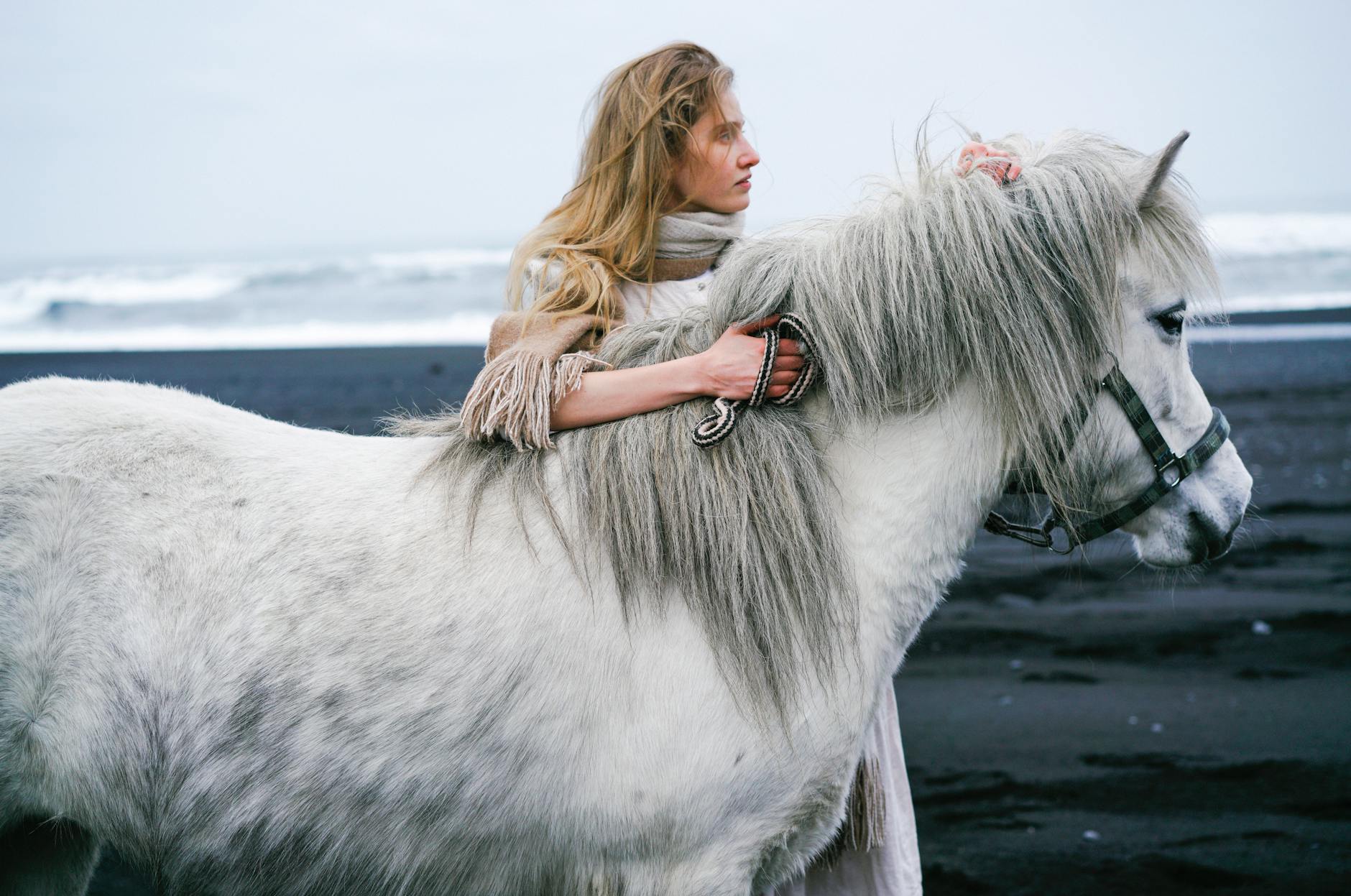 Illustration zu Alessandra Reich Pferde