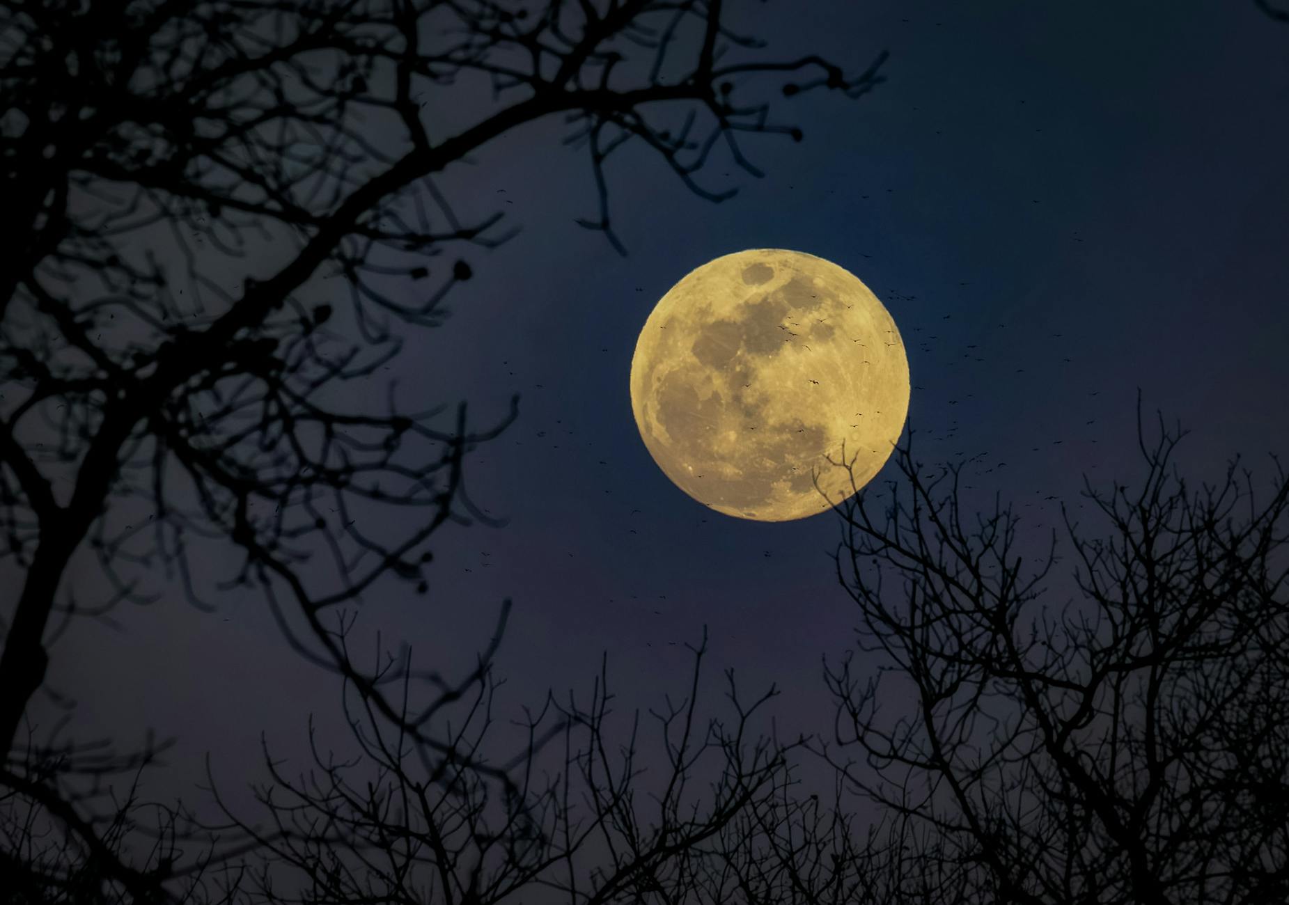 Detailansicht: April Vollmond