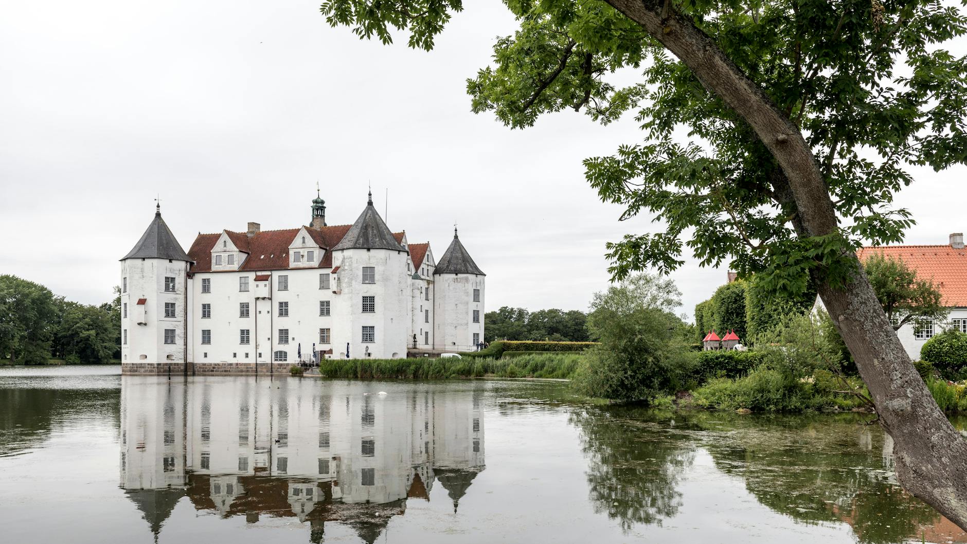 Illustration zu Buckelwal Ostsee