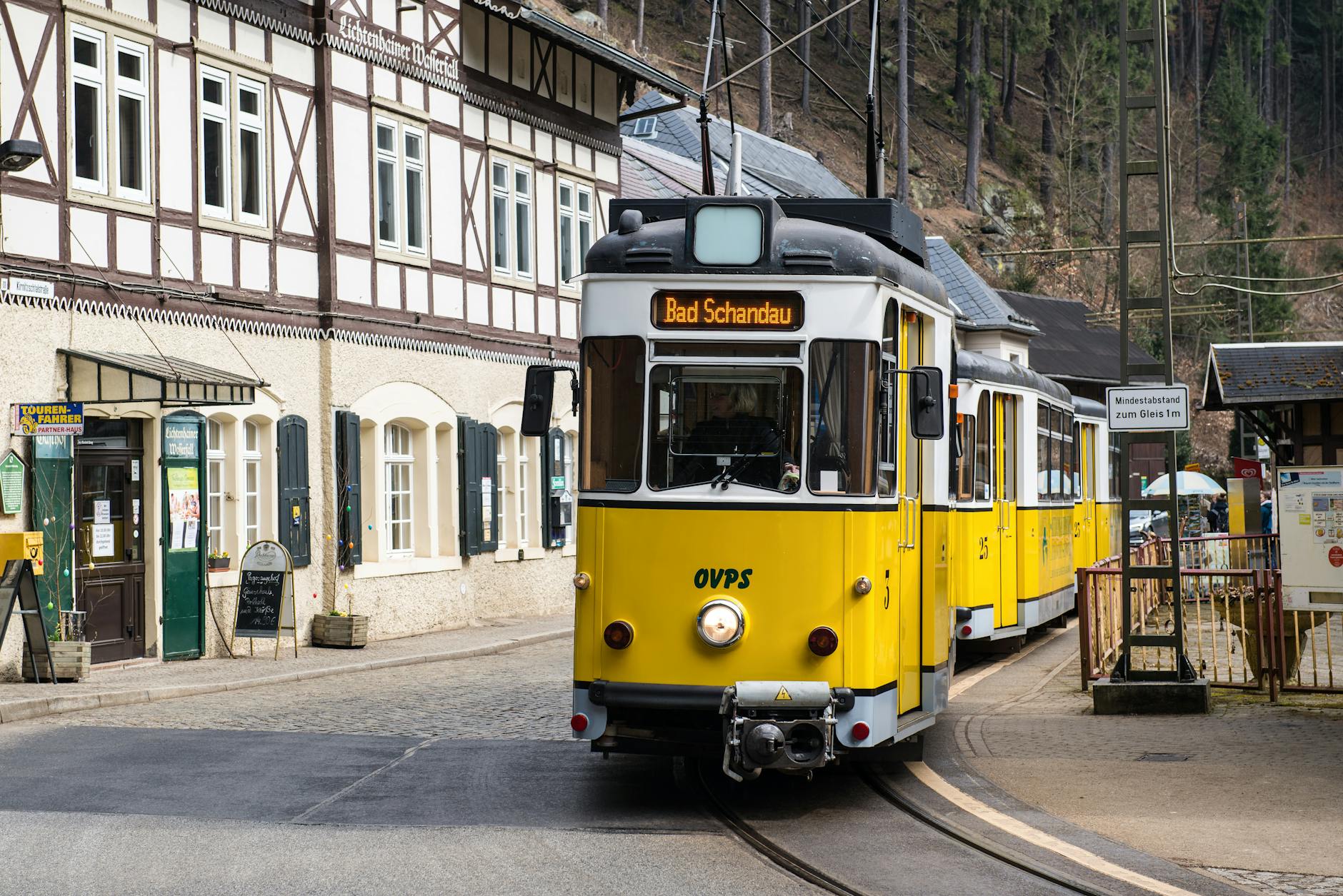 Dynamo Dresden Illustration zu Dynamo Dresden