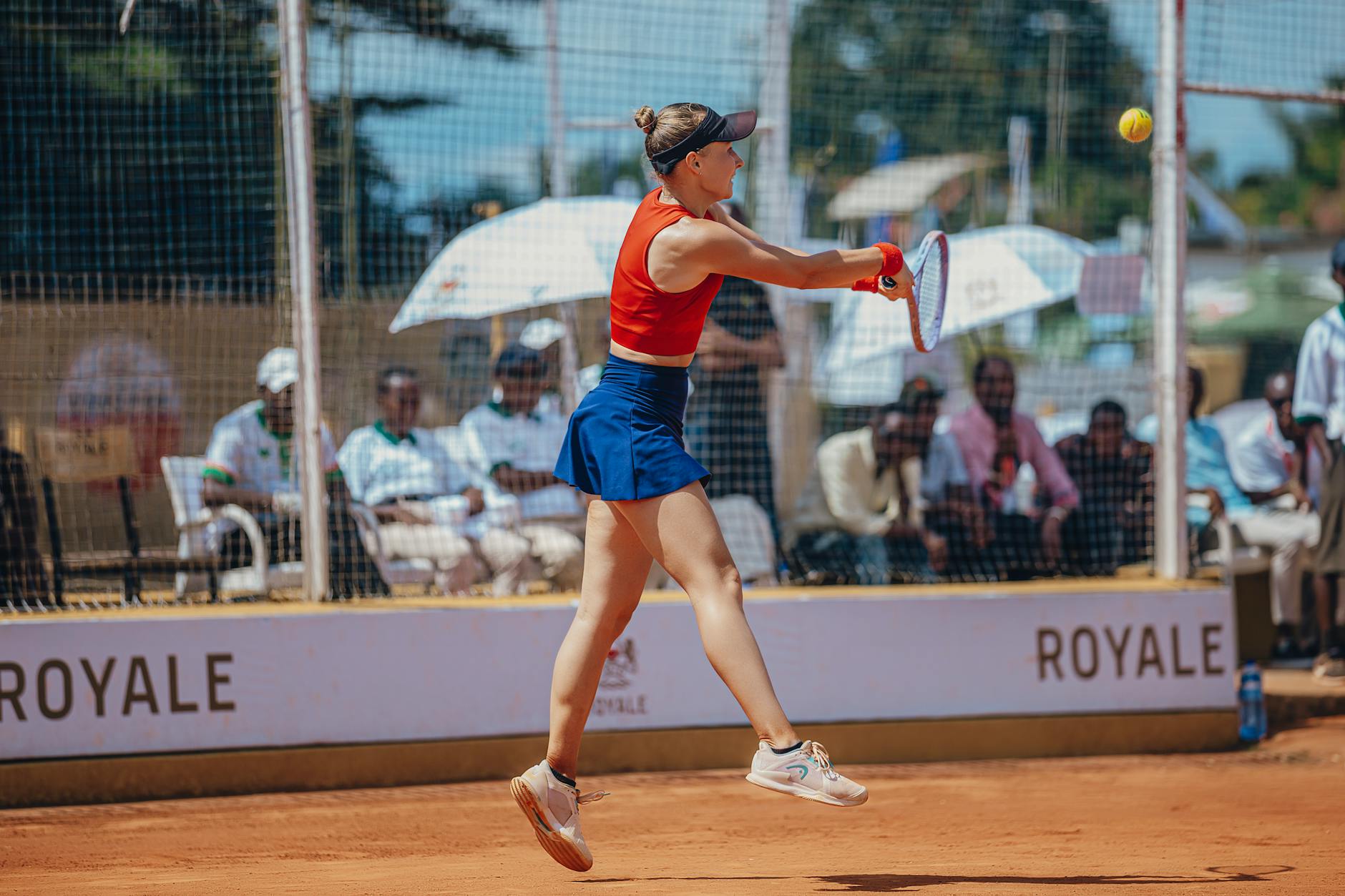 Illustration zu Elena Rybakina