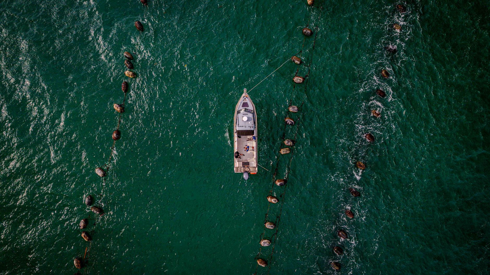 Illustration zu Europäische Marine Hormuz