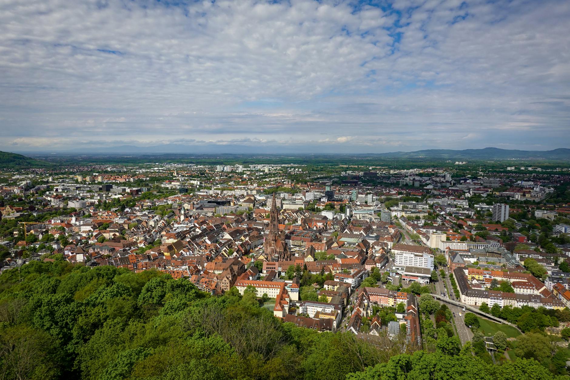 Illustration zu Freiburg – Celta