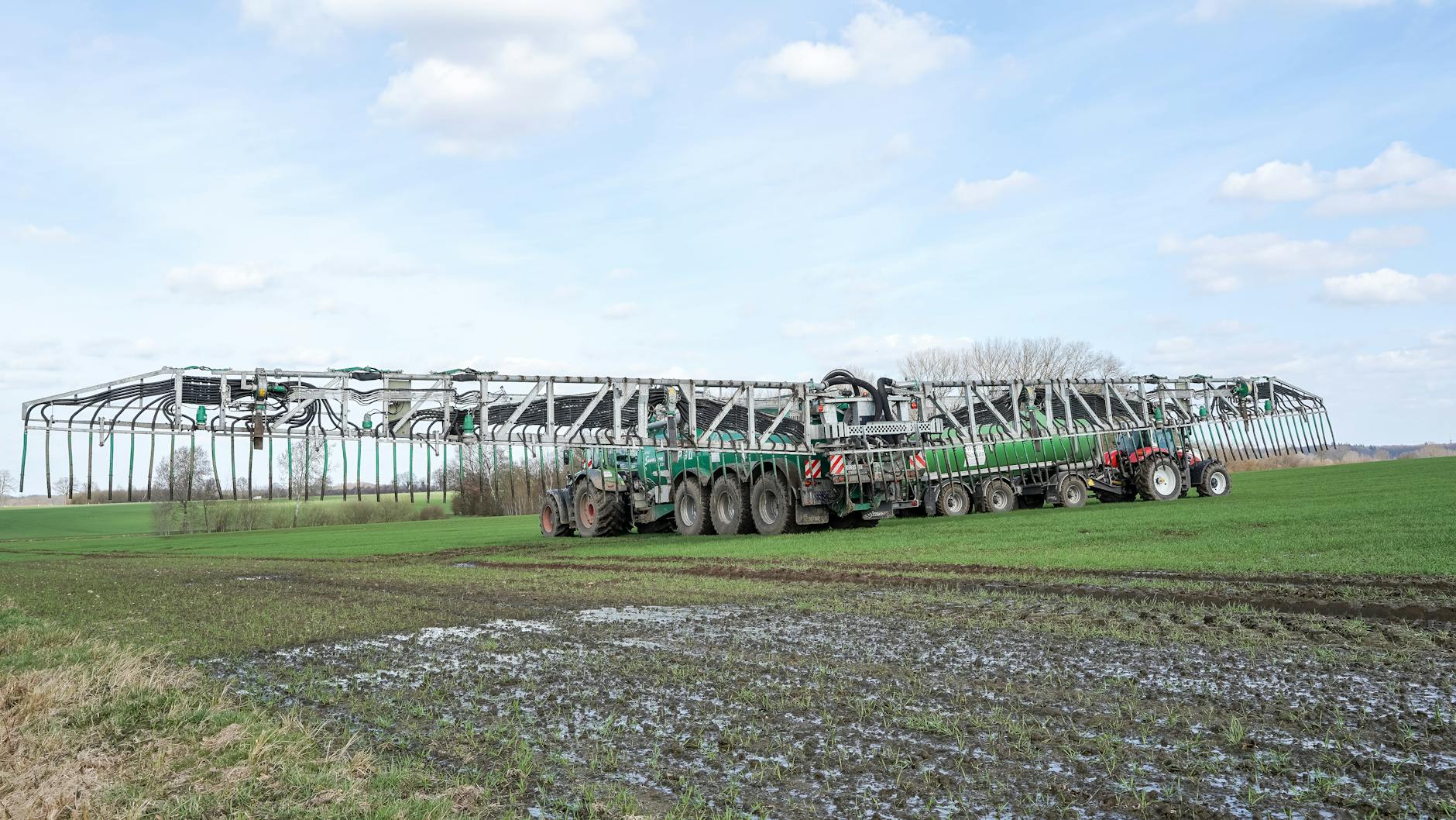 Grönemeyer Bruder Detailansicht: Grönemeyer Bruder