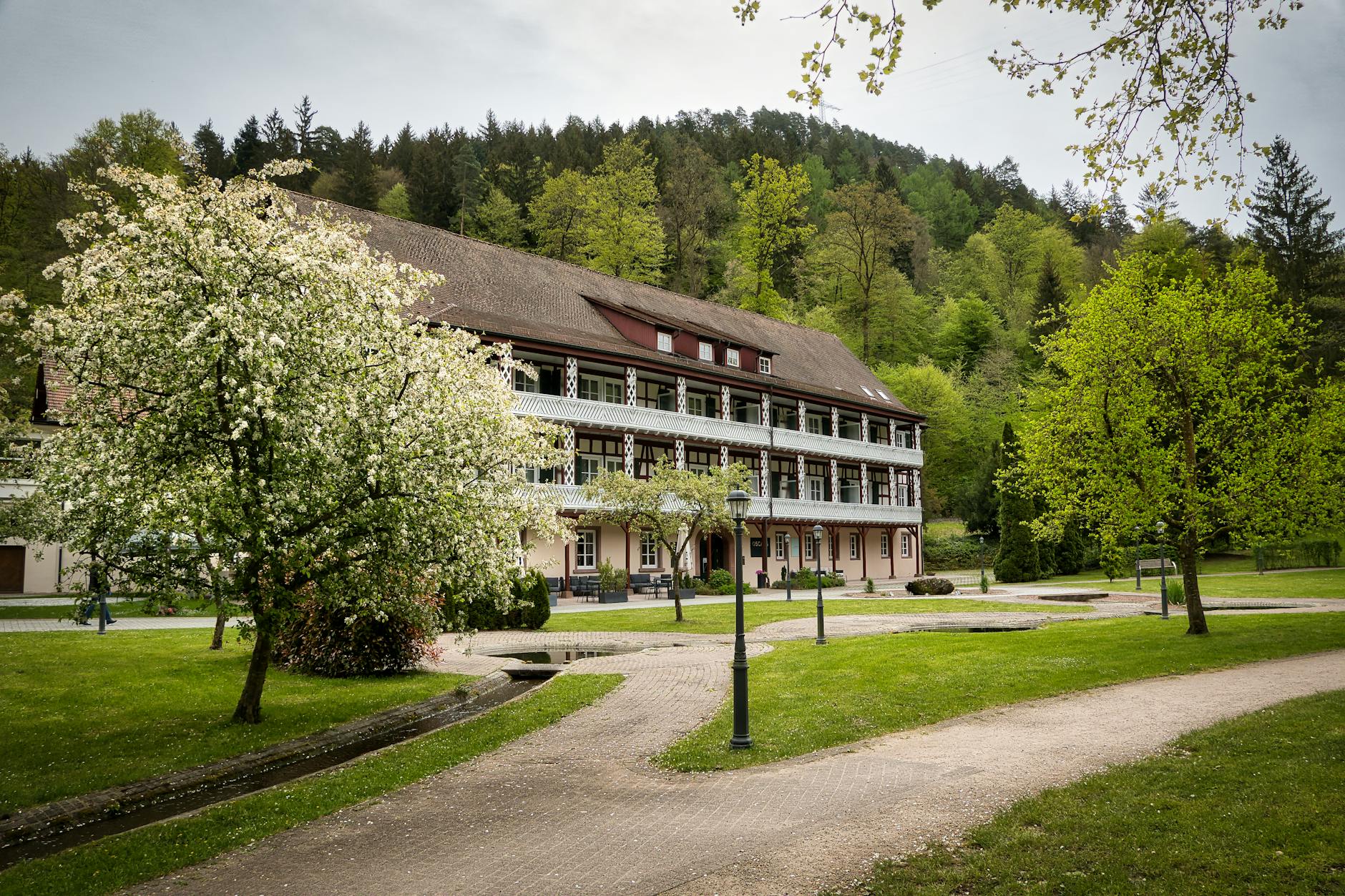 Illustration zu Haus Savoyen Streit