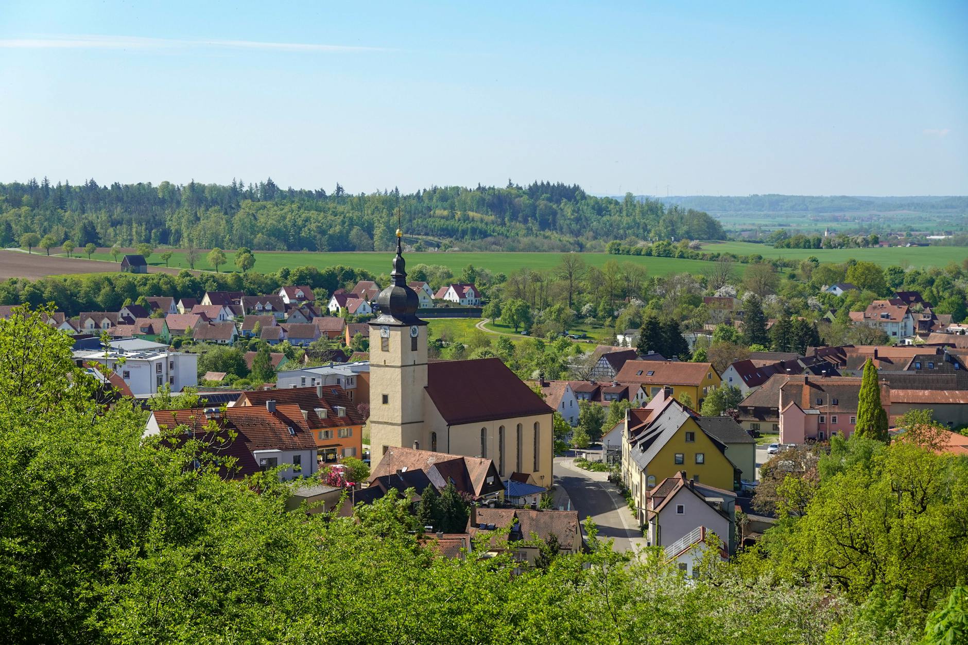 Symbolbild zum Thema Hürtgenwald