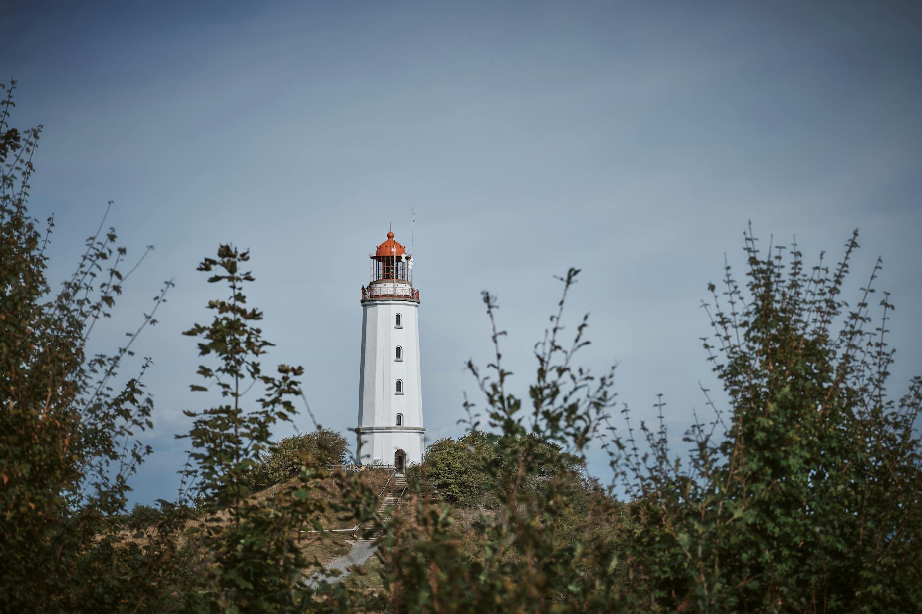 Insel Poel Wal Symbolbild zum Thema Insel Poel Wal