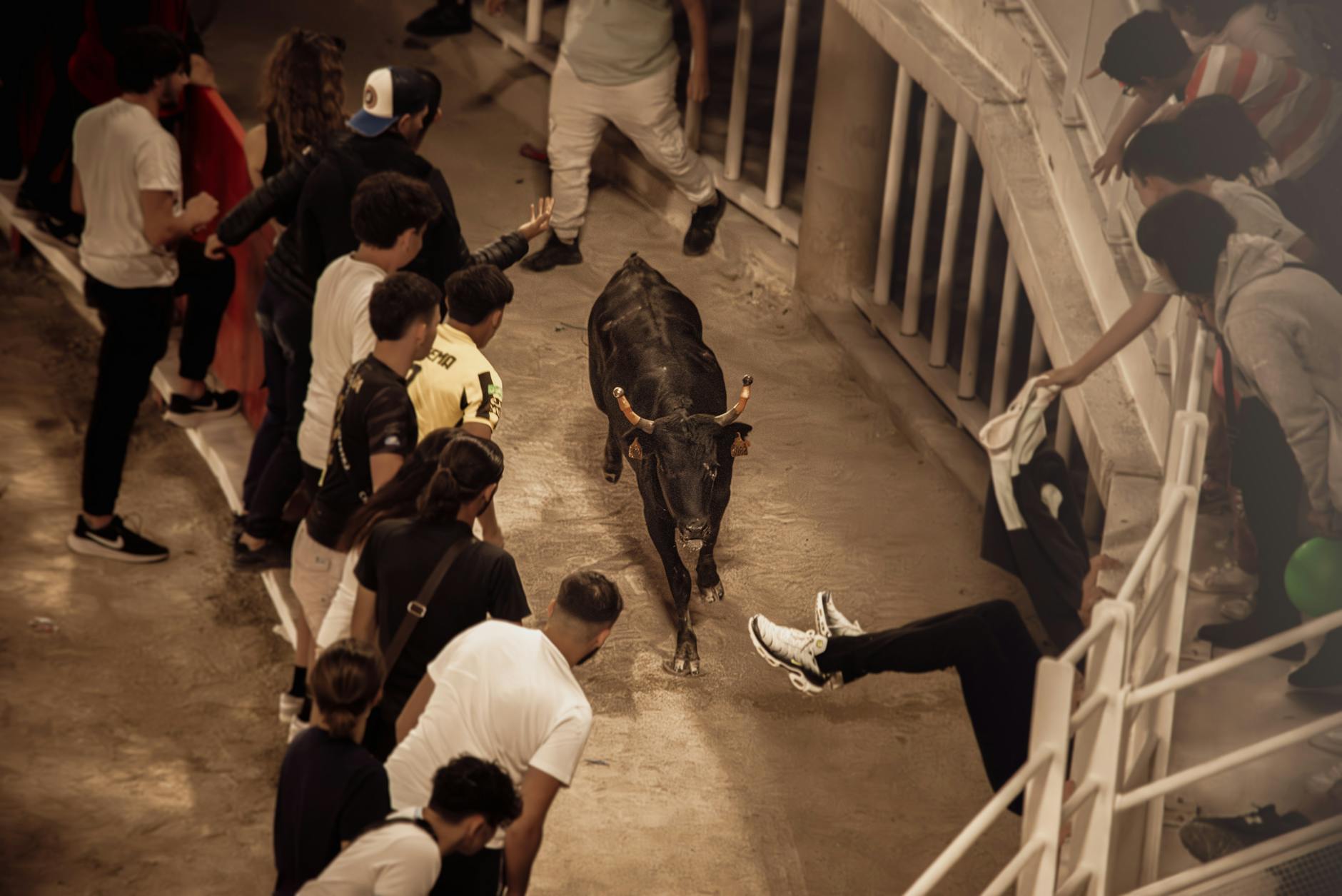 Inter Miami – NY Red Bulls Illustration zu Inter Miami – NY Red Bulls