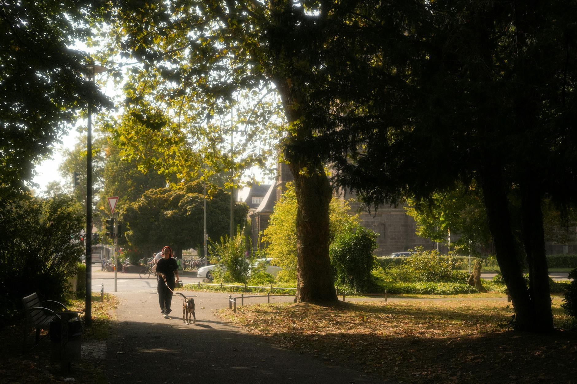 Detailansicht: Köln Stadtpark Mord