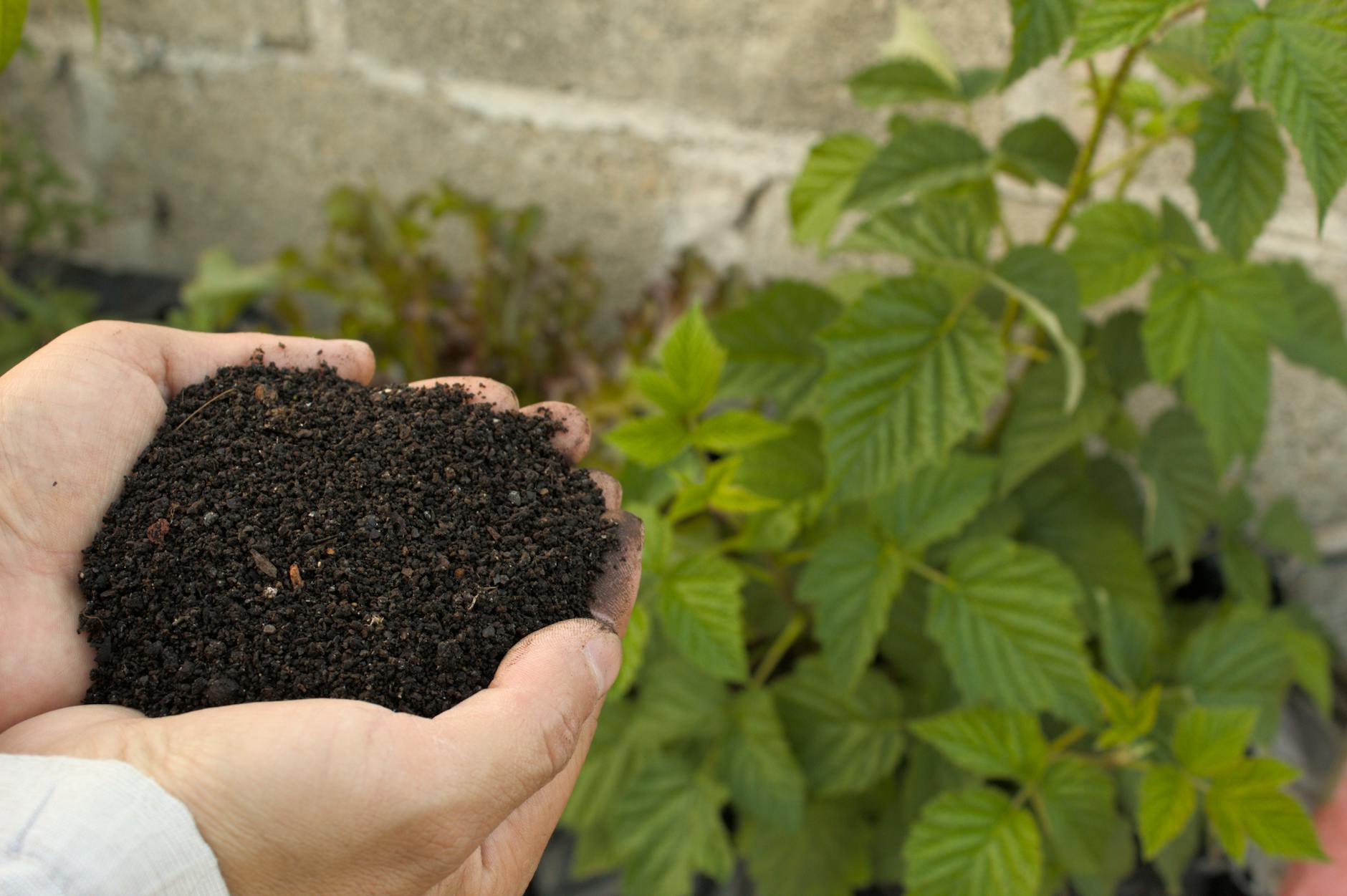 Detailansicht: Komposter Garten
