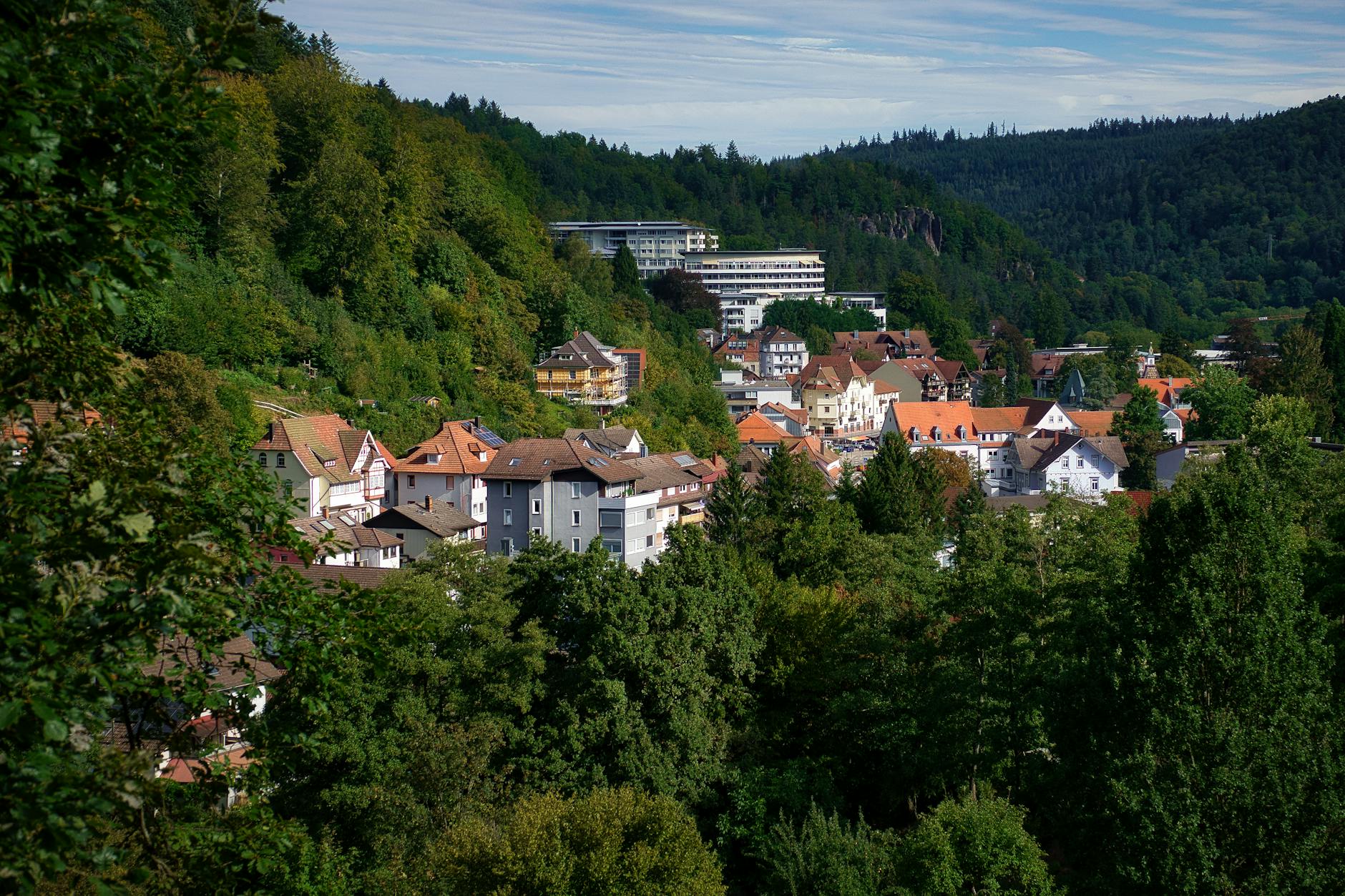 Symbolbild zum Thema Leichenteile Gefunden Sauerland