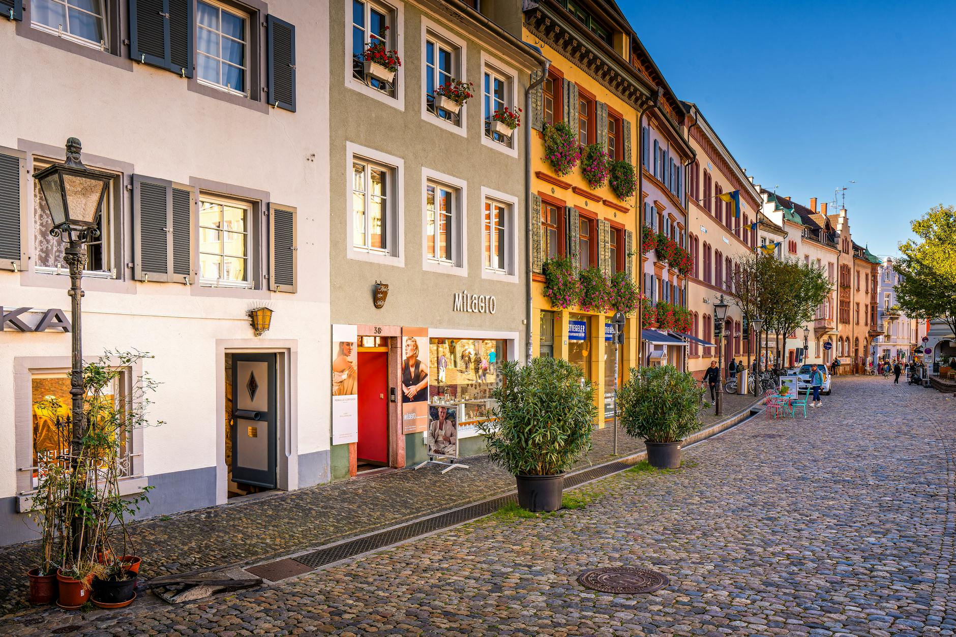 Mainz – Freiburg Illustration zu Mainz – Freiburg