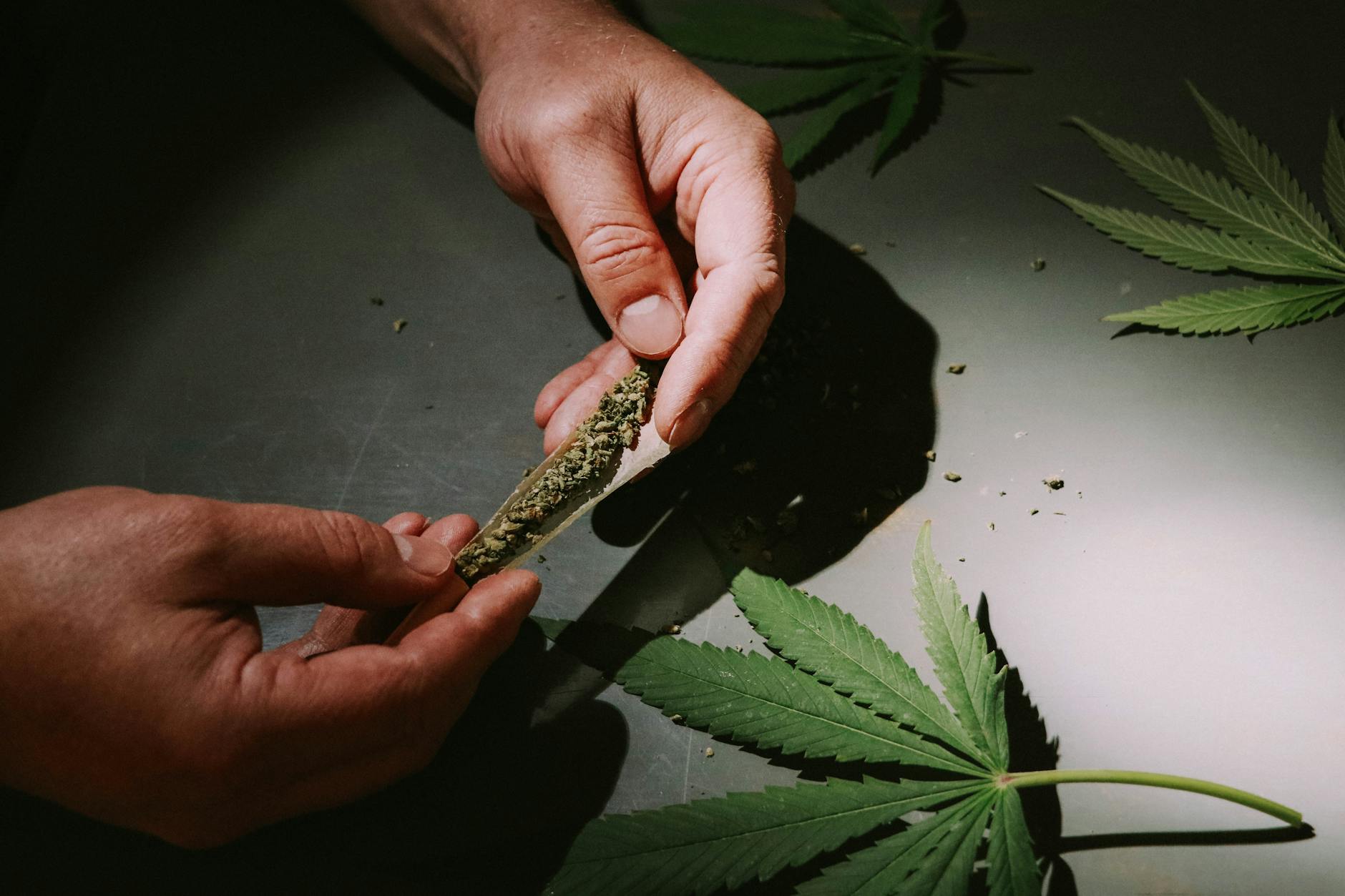 Illustration zu Marihuana Fund Brasilien