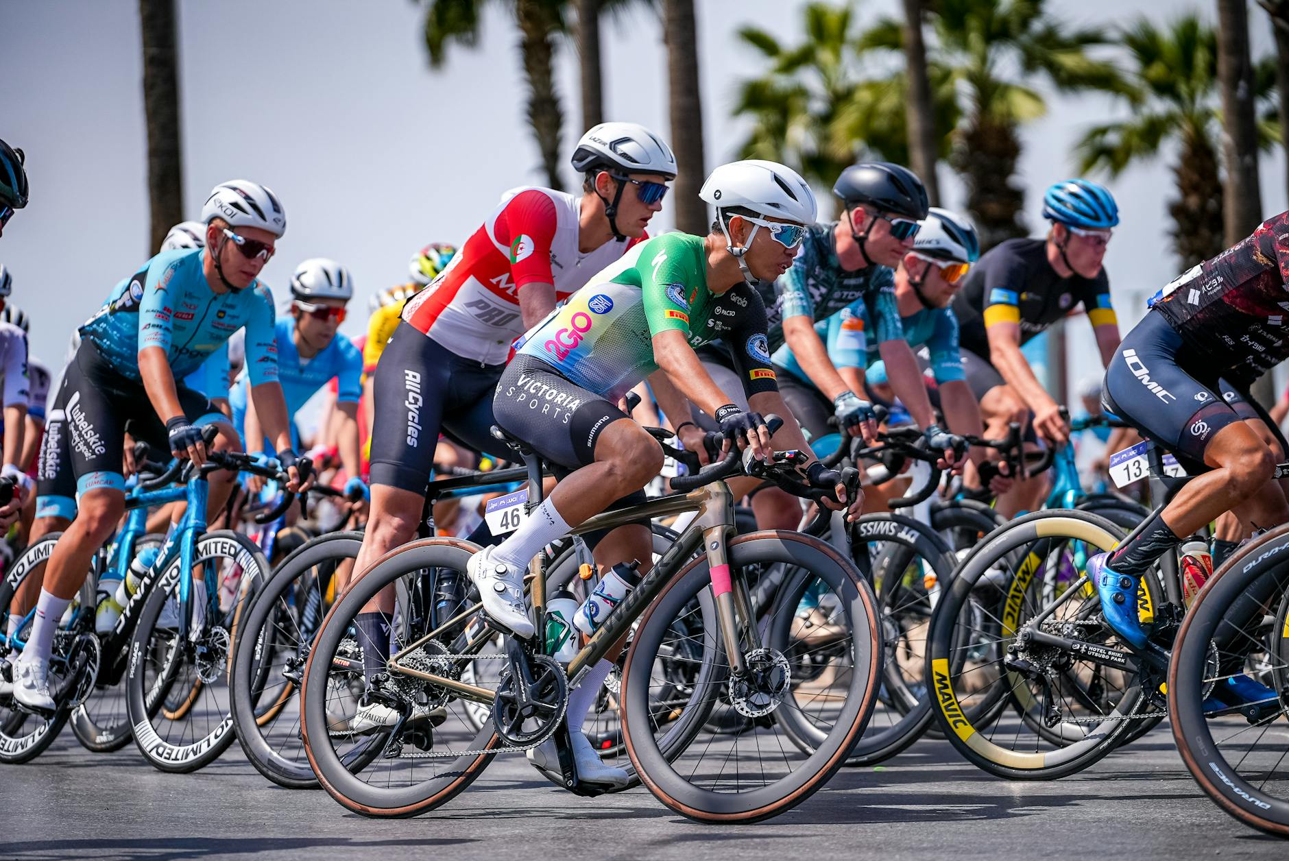 Illustration zu Pogacar